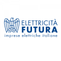 ELETTRICITA' FUTURA